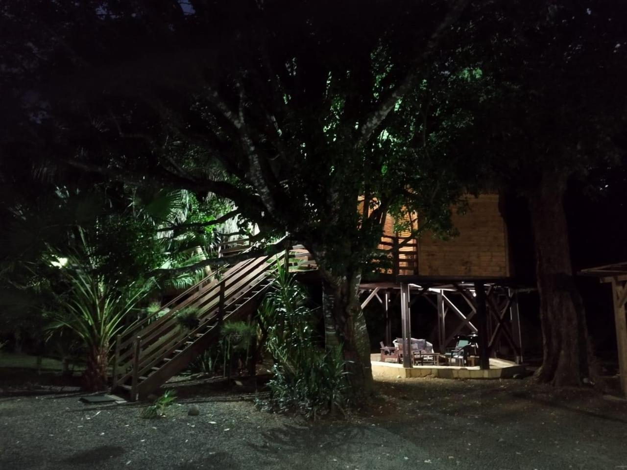 Gite Du Manial "Cabane Du Sentier Des Etoiles" Pointe-Noire Buitenkant foto