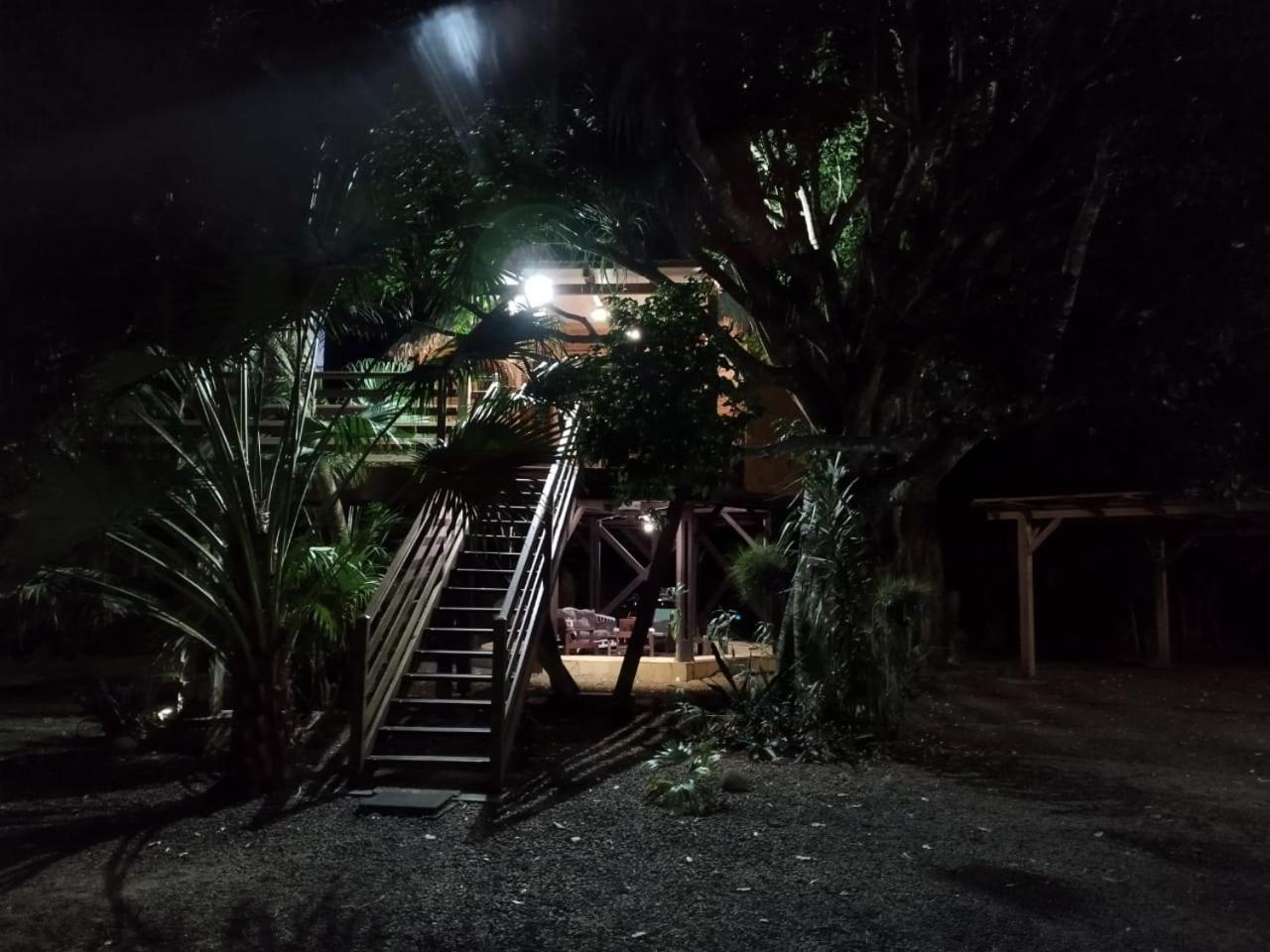 Gite Du Manial "Cabane Du Sentier Des Etoiles" Pointe-Noire Buitenkant foto
